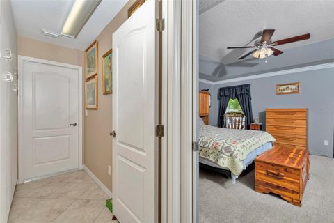 Tiny photo for 3325 S Hwy 314a, Ocklawaha, FL 32179 (MLS # OM724052)