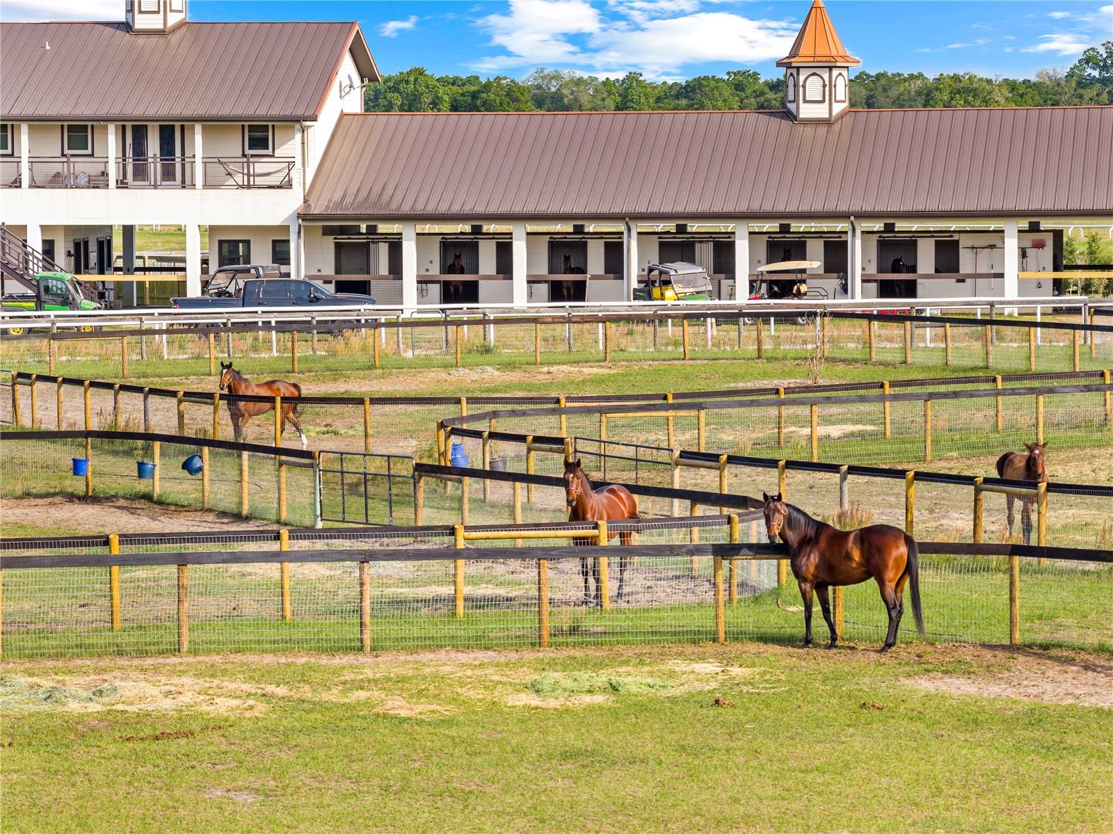BELLEMONT FARMS - Residential
