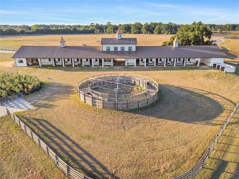 Tiny photo for 1345 NE 155 Pl, Citra, FL 32113 (MLS # OM721342)