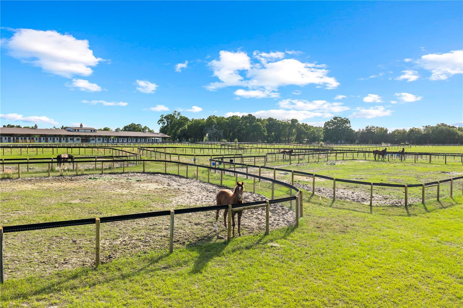 BELLEMONT FARMS - Residential