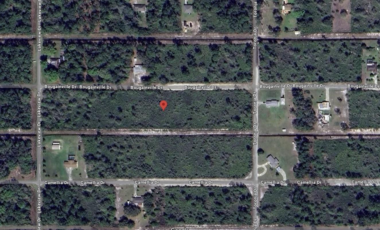 911 BOUGAINVILLE DRIVE