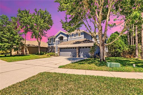 A home in LAND O LAKES