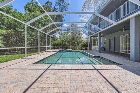 A home in LAND O LAKES