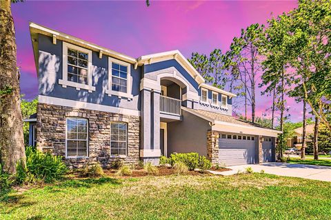 A home in LAND O LAKES