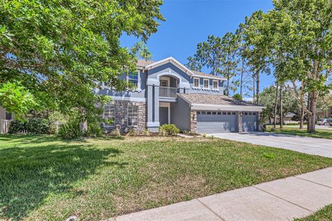 A home in LAND O LAKES