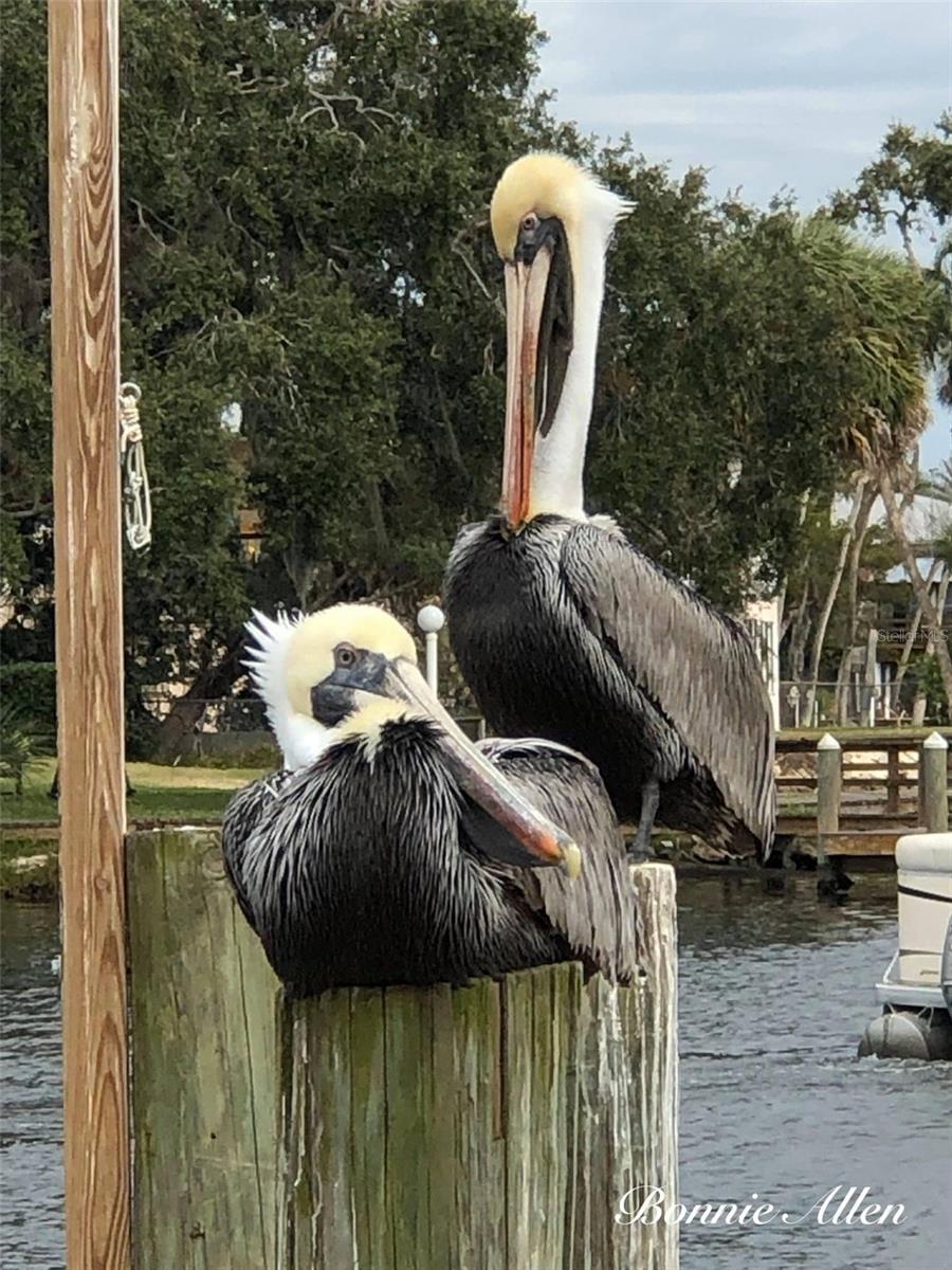 LEISURE BEACH - Residential