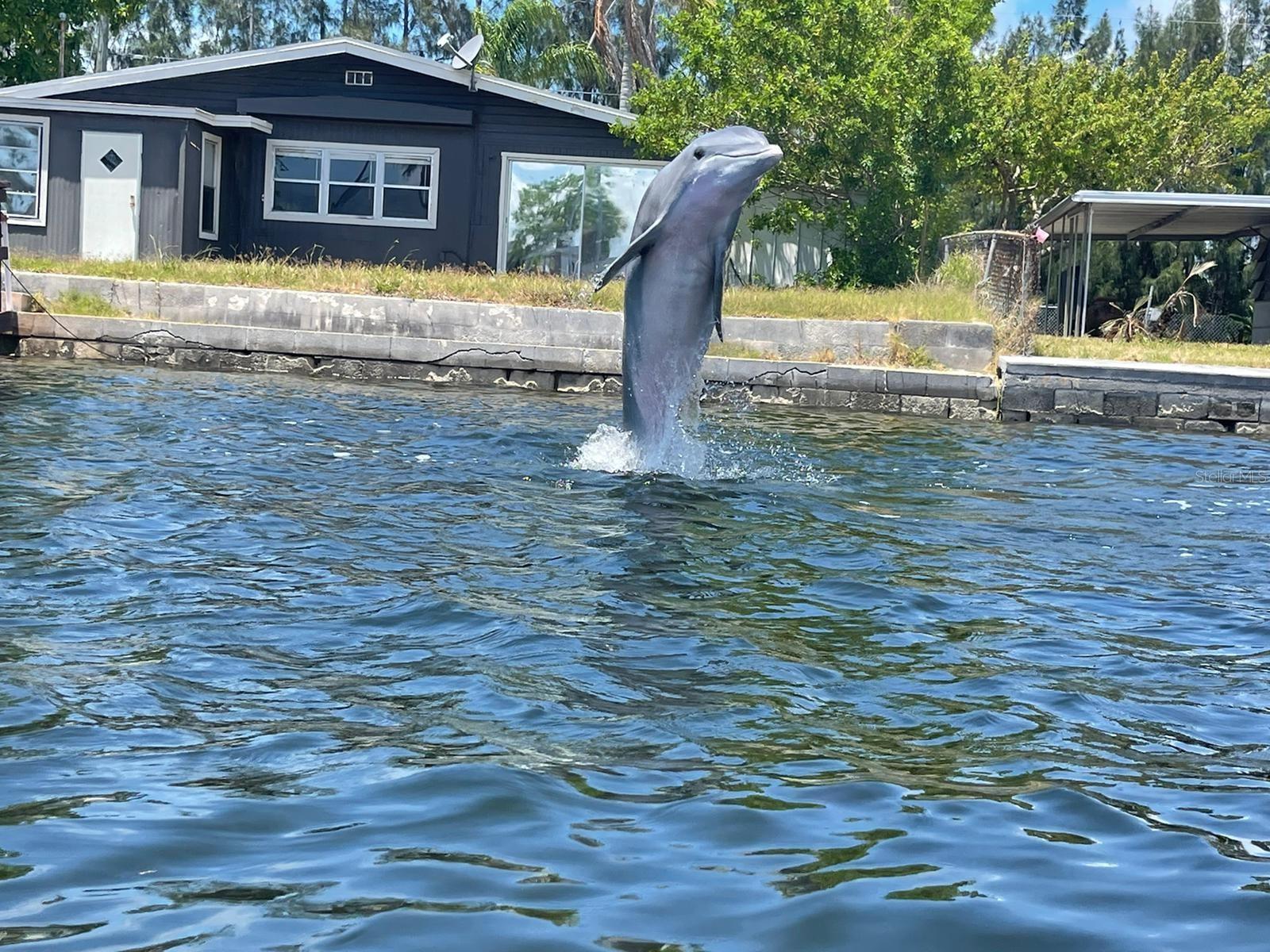 LEISURE BEACH - Residential
