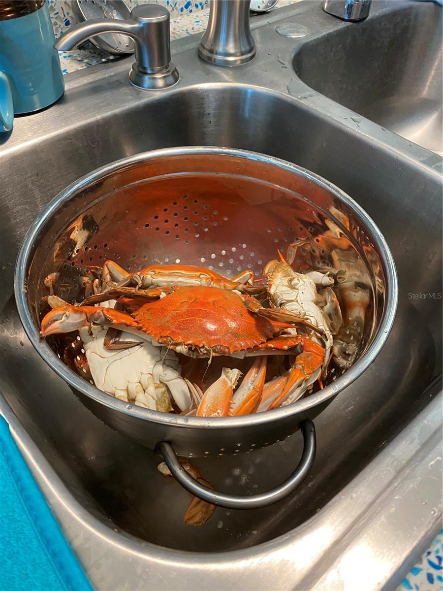 LEISURE BEACH - Residential