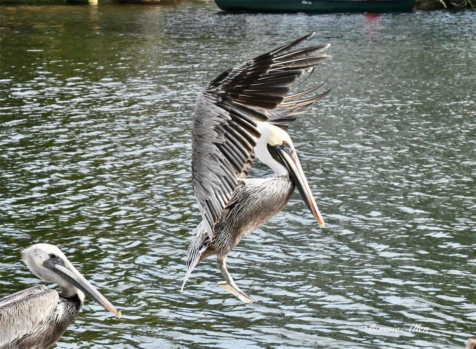 LEISURE BEACH - Residential