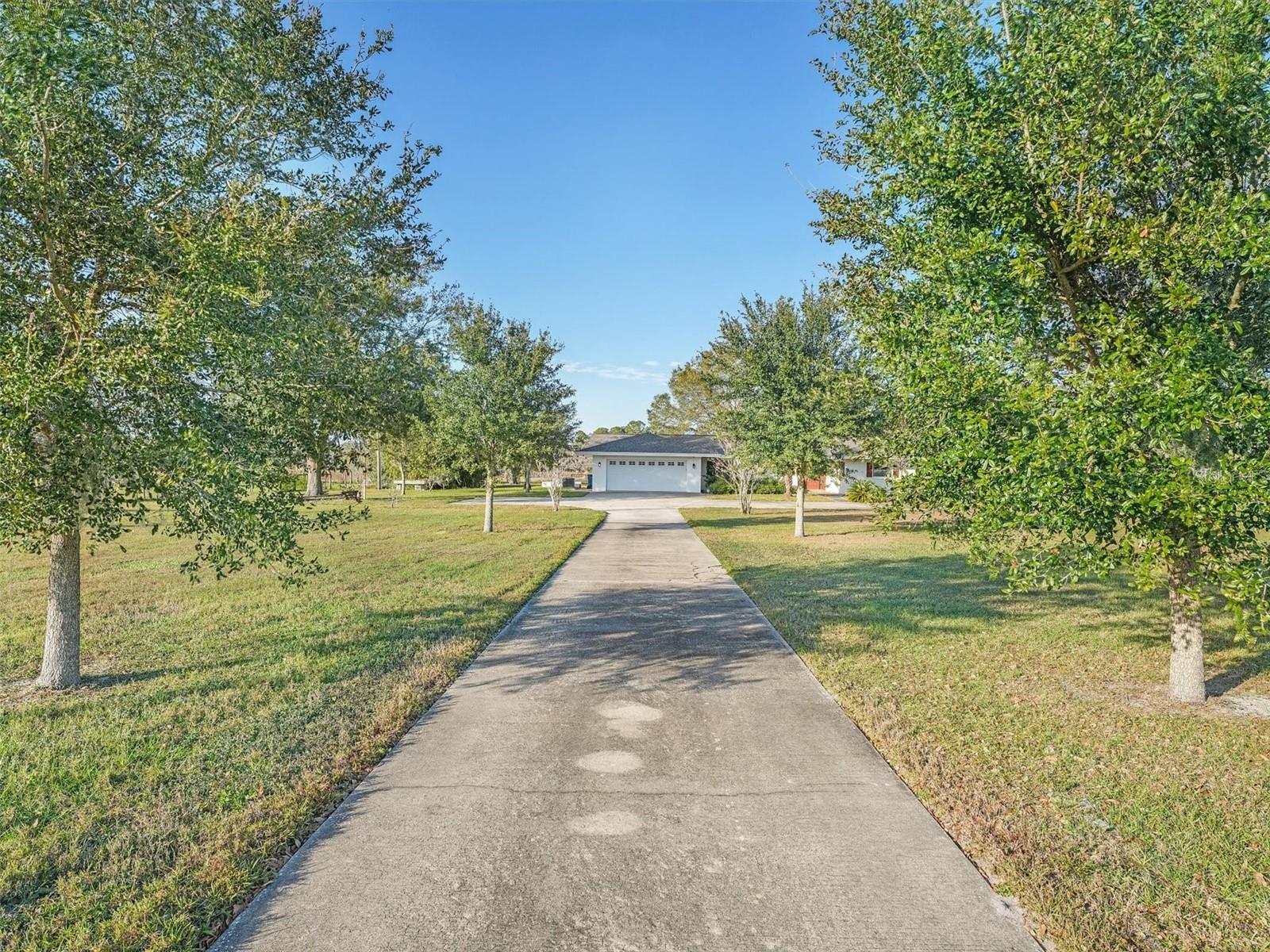 1045 CARTER ROAD
