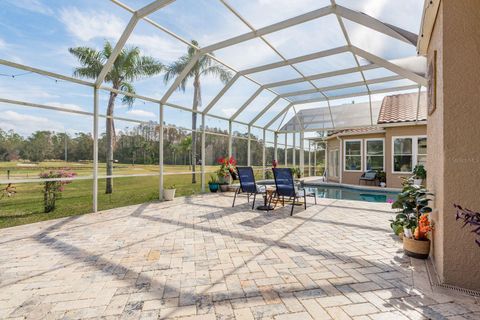 A home in TARPON SPRINGS