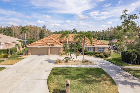 A home in TARPON SPRINGS