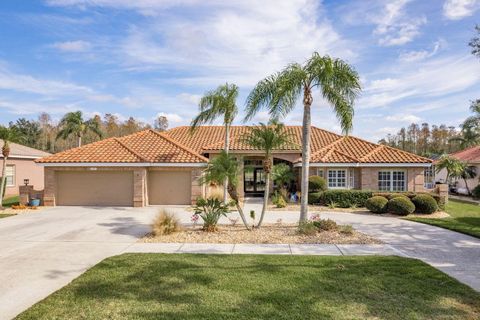 A home in TARPON SPRINGS