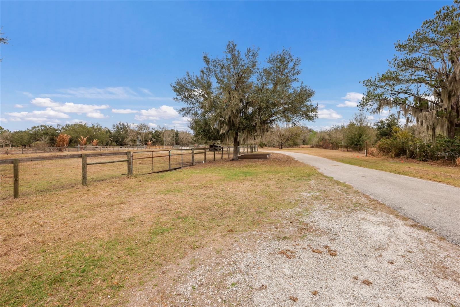 MYAKKA CITY - Residential