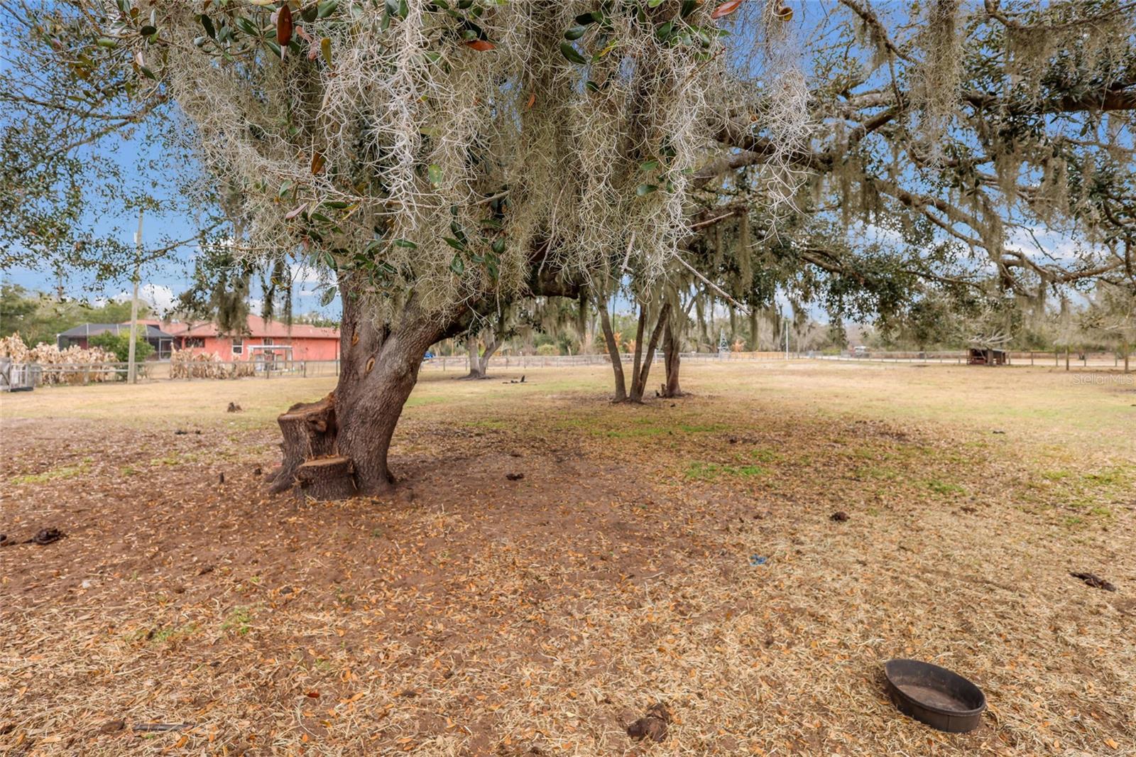 MYAKKA CITY - Residential