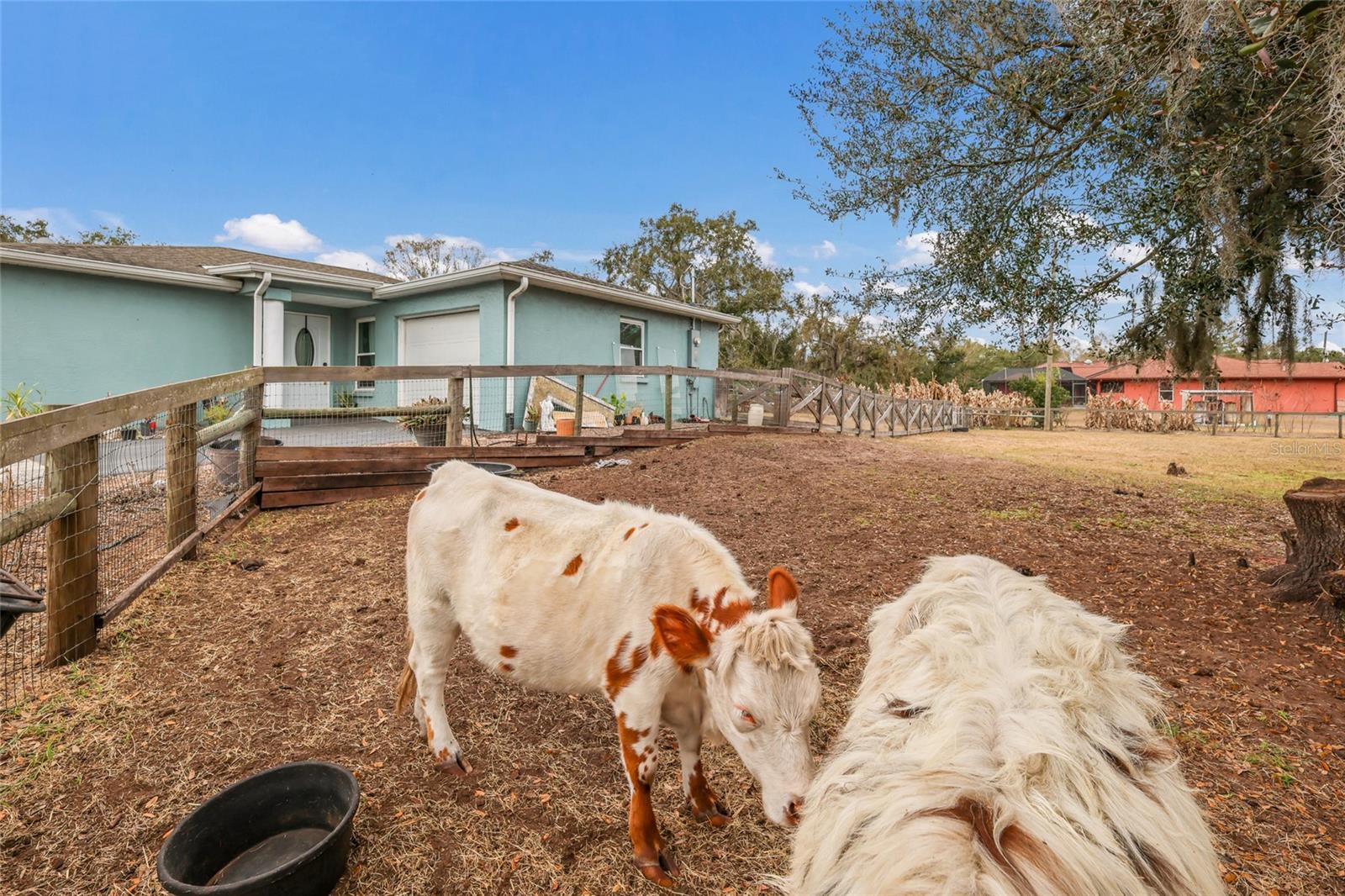 MYAKKA CITY - Residential