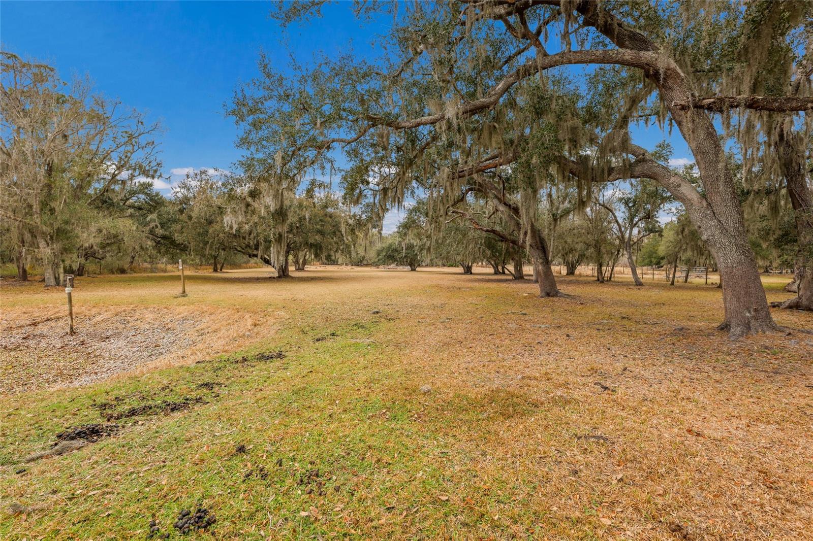 MYAKKA CITY - Residential