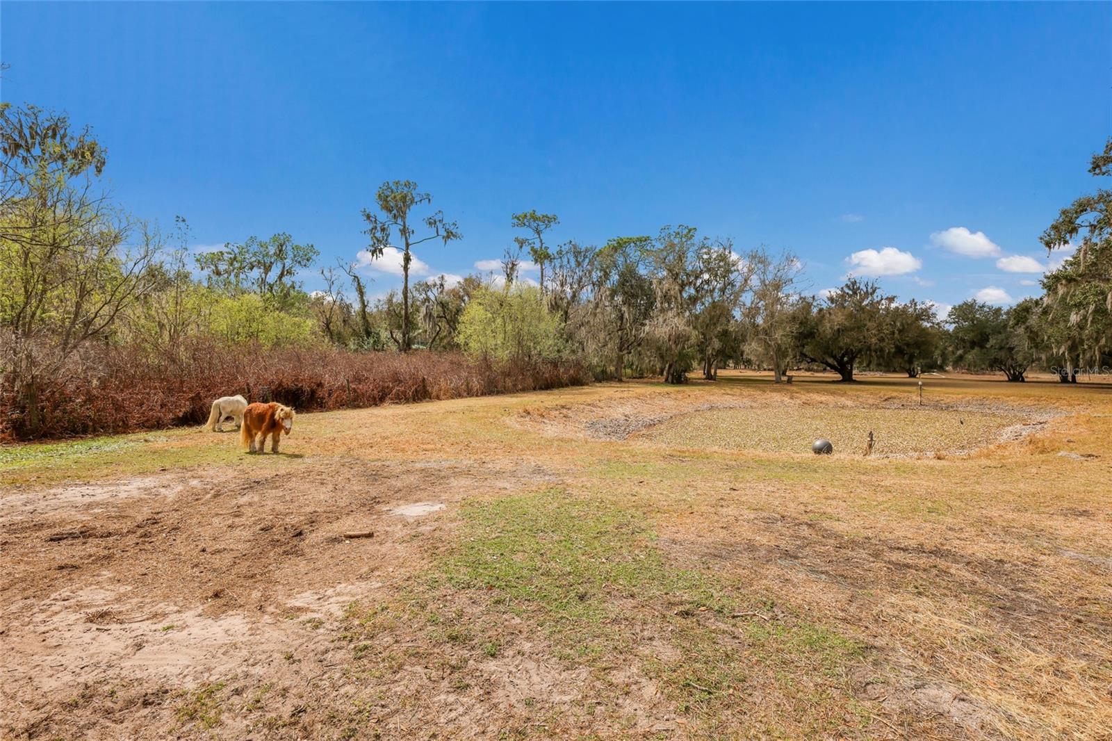 MYAKKA CITY - Residential