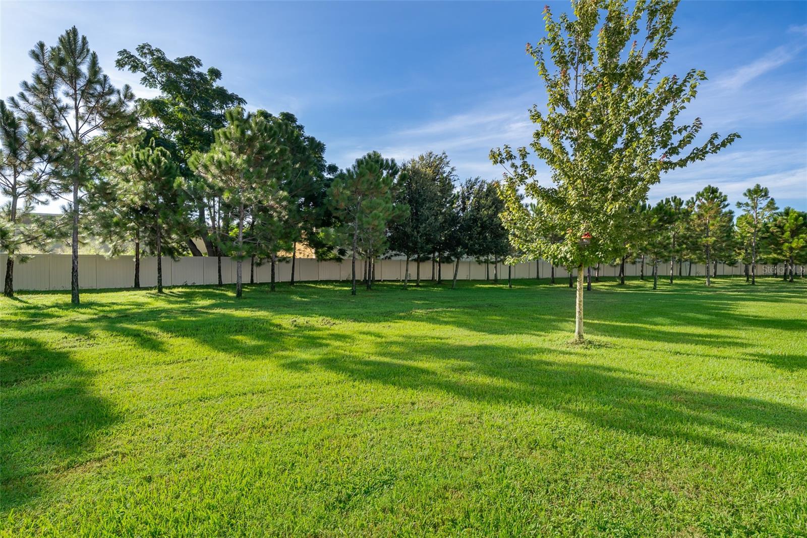 2555 SWEET VIBURNUM WAY