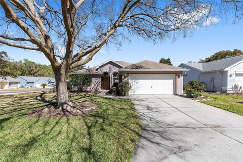 Tiny photo for 11691 SW 71st Circle, Ocala, FL 34476 (MLS # OM719822)