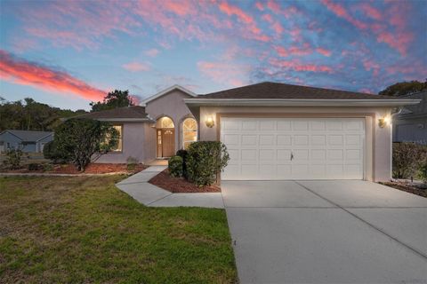 Photo of 11691 SW 71st Circle, Ocala, FL 34476 (MLS # OM719822)