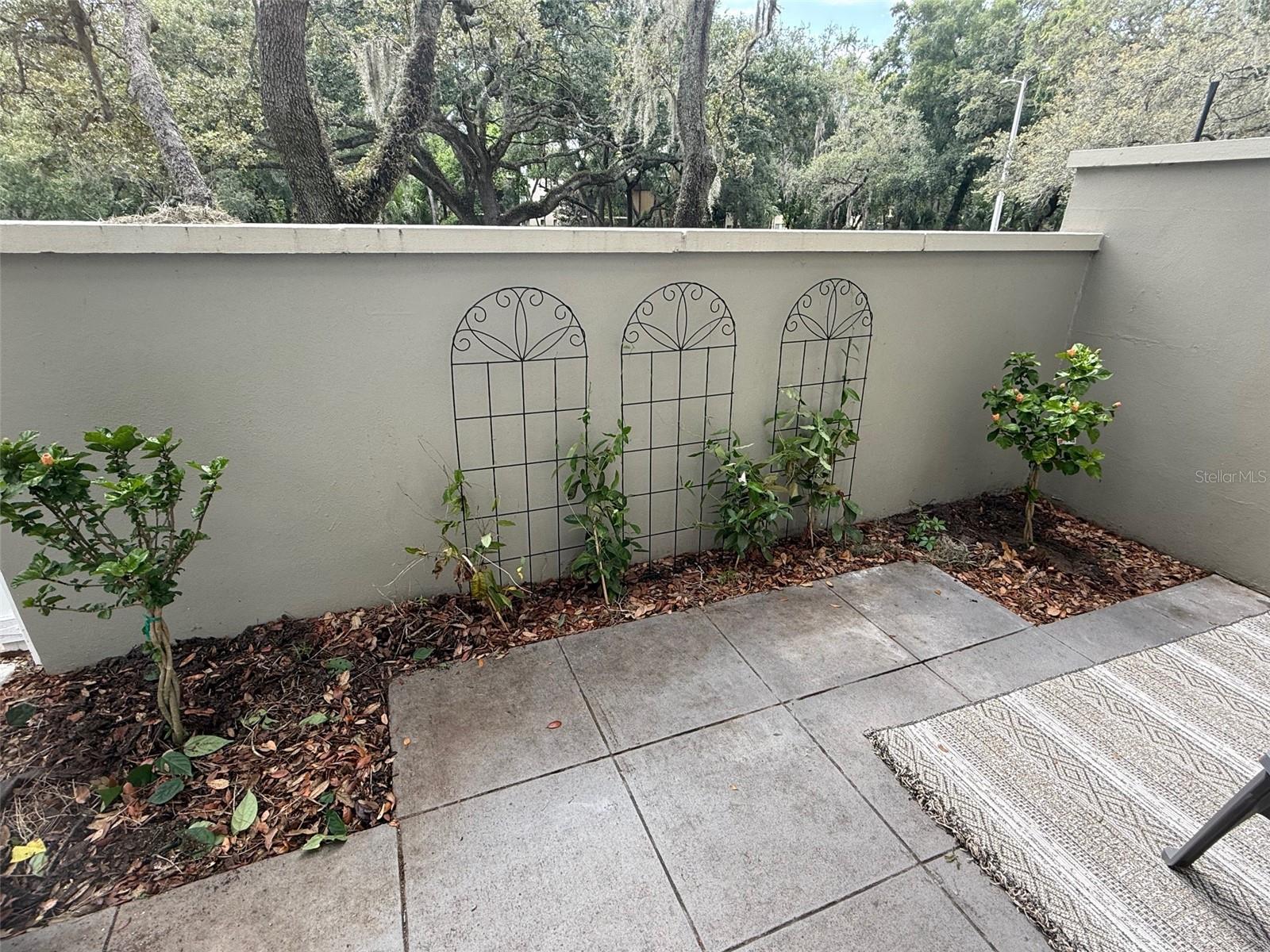 RAINTREE MANOR HOMES CONDOMINI - Residential