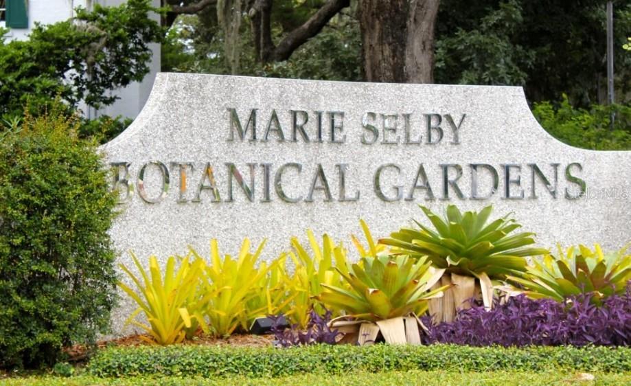 SUNRISE PRESERVE - Residential