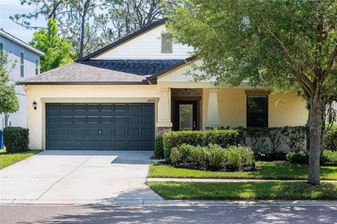 A home in RIVERVIEW