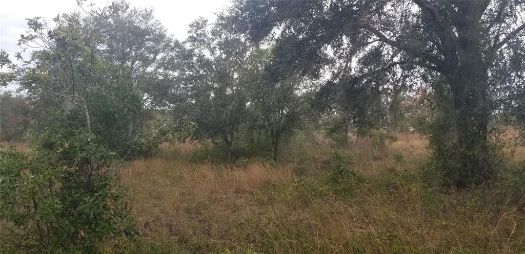 Photo of 1775 NE Cross Avenue, Arcadia, FL 34266 (MLS # N6129988)