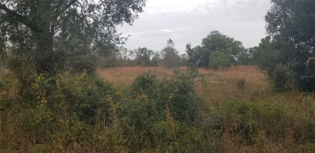 Photo of 1775 NE Cross Avenue, Arcadia, FL 34266 (MLS # N6129988)