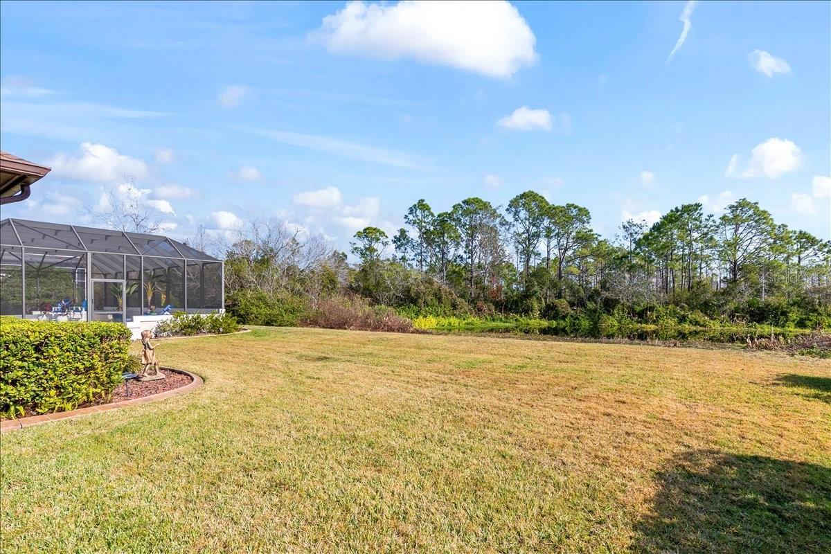 LIONSPAW GRAND TR D - Residential