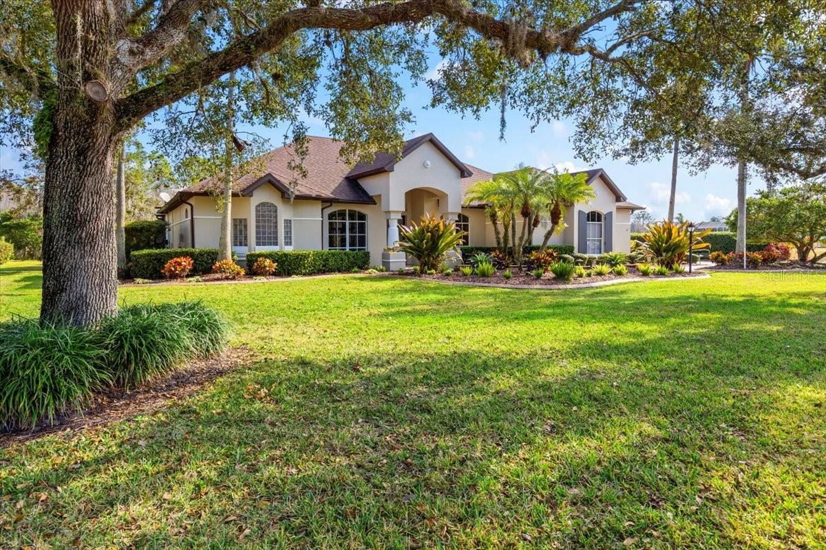 LIONSPAW GRAND TR D - Residential