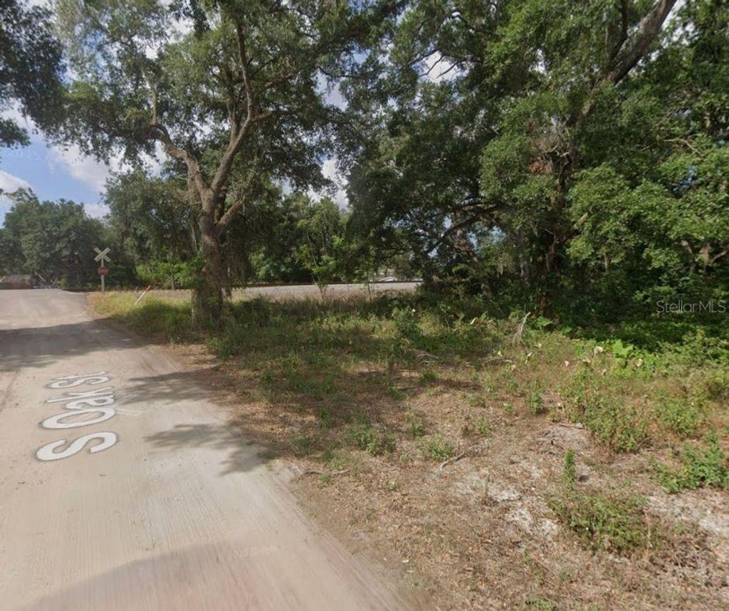 Photo of S Oak Street, Seffner, FL 33584 (MLS # TB8435595)