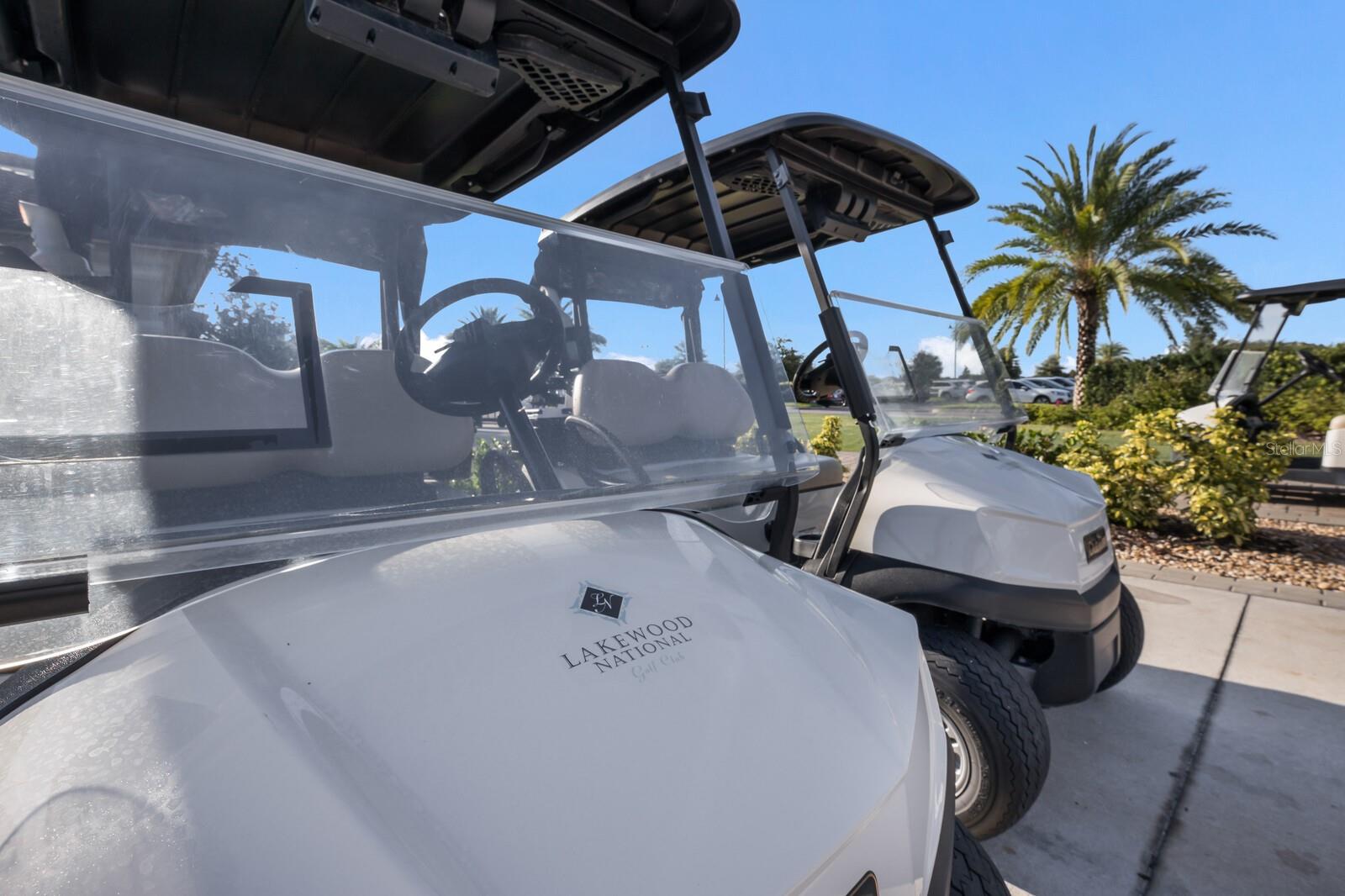LAKEWOOD NATIONAL - Residential