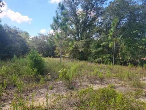 LOT 21 SW RAINBOW LAKES BOULEVARD DUNNELLON FL 34431