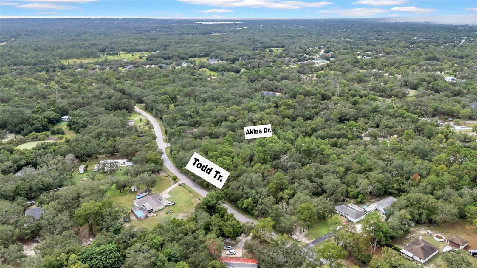 TURNER LOOP