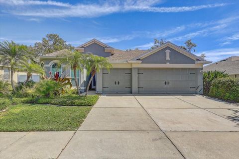 Photo of 10810 Moss Island Drive, Riverview, FL 33569 (MLS # TB8360692)