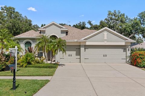 Photo of 10810 Moss Island Drive, Riverview, FL 33569 (MLS # TB8360692)