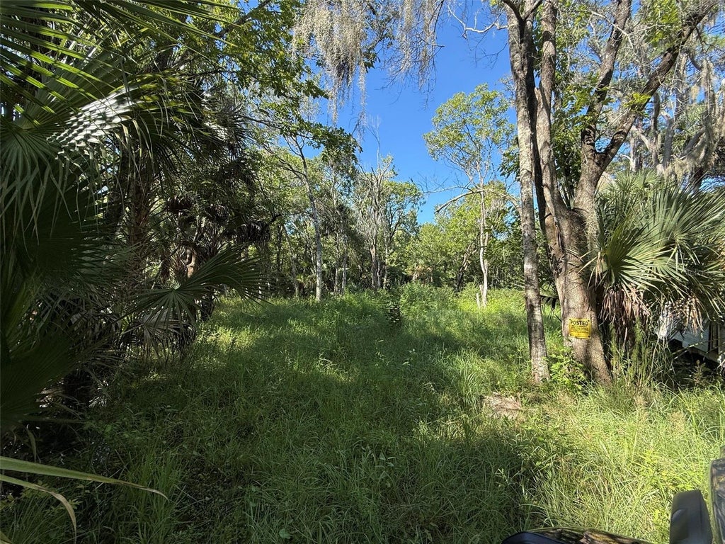 Photo of 1785 Maplewood Drive, Edgewater, FL 32132 (MLS # NS1089246)