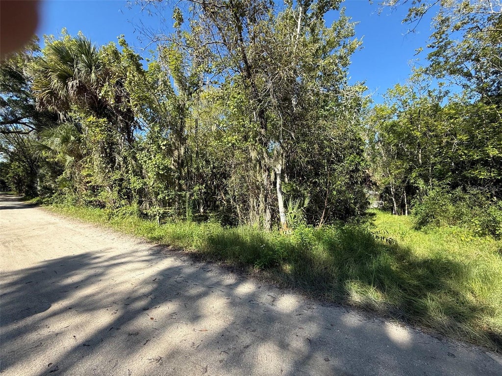 Photo of 1785 Maplewood Drive, Edgewater, FL 32132 (MLS # NS1089246)