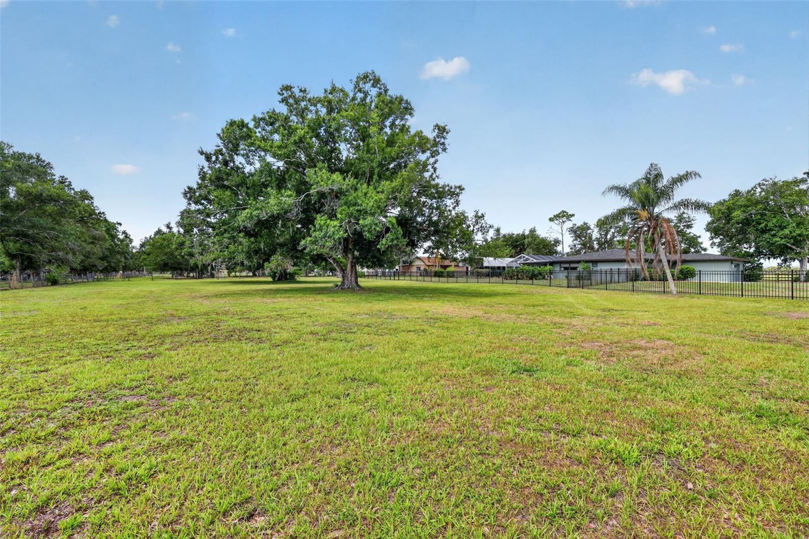 MYAKKA VALLEY RANCHES - Residential