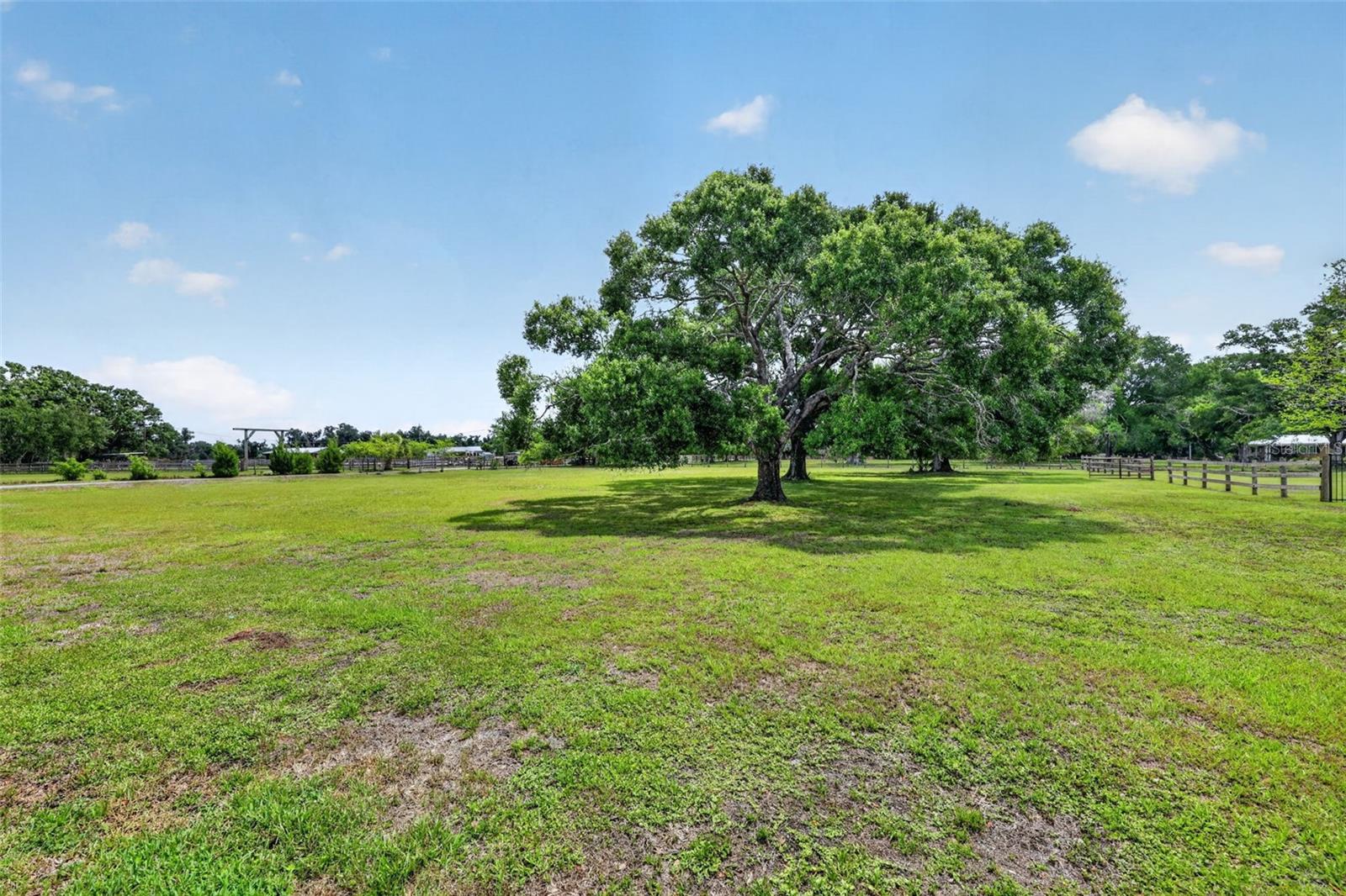 MYAKKA VALLEY RANCHES - Residential