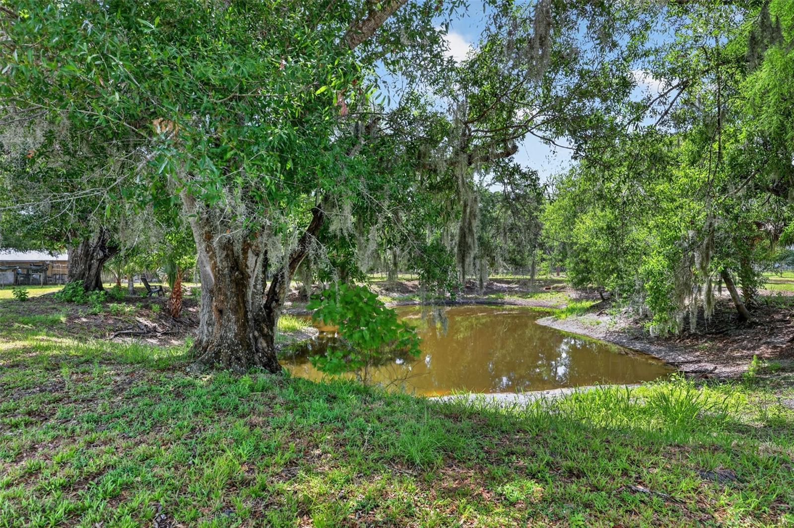 MYAKKA VALLEY RANCHES - Residential