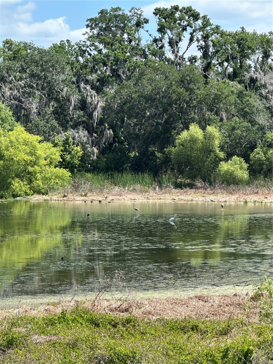 FISHHAWK RESERVE - Land