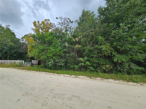 Tiny photo for 0000 NE 141st Avenue, Williston, FL 32696 (MLS # OM733388)