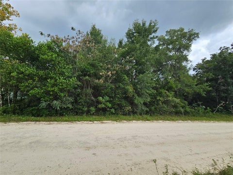 Tiny photo for 0000 NE 141st Avenue, Williston, FL 32696 (MLS # OM733388)