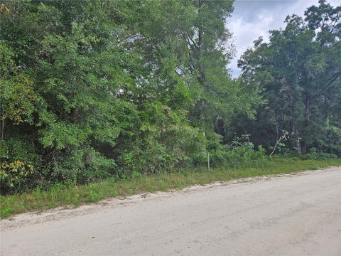 Tiny photo for 0000 NE 141st Avenue, Williston, FL 32696 (MLS # OM733388)