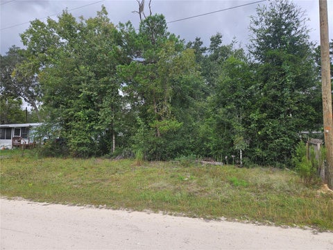 Photo of 0000 NE 141st Avenue, Williston, FL 32696 (MLS # OM733388)