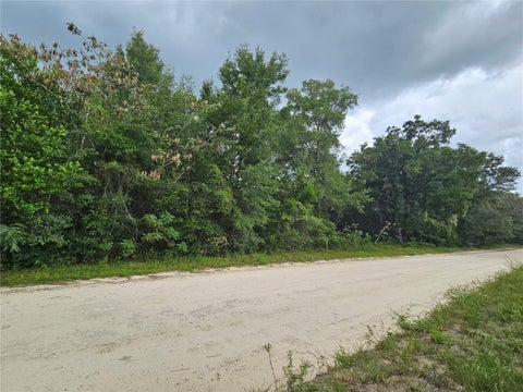 Tiny photo for 0000 NE 141st Avenue, Williston, FL 32696 (MLS # OM733388)