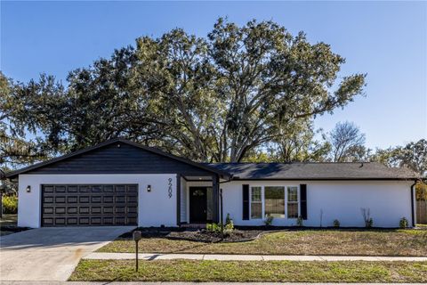 Photo of 9209 Kingsridge Drive, Temple Terrace, FL 33637 (MLS # TB8465961)